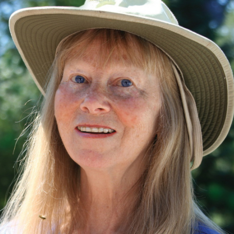 Jacqueline Freeman