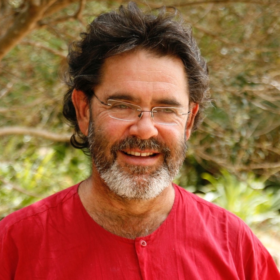 Mark Swilling