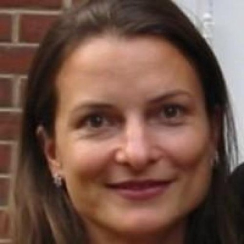 Sigi Koko
